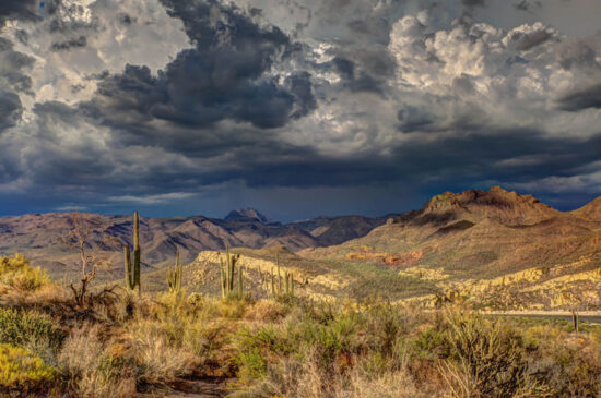 Scenic Arizona Landscape