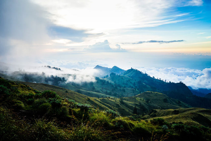 An Indonesian Rainforest with Bali in the Background