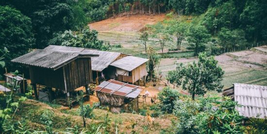 A small farm nestled in a small jungle clearing