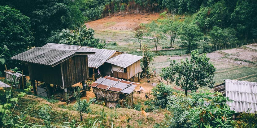 A small farm nestled in a small jungle clearing