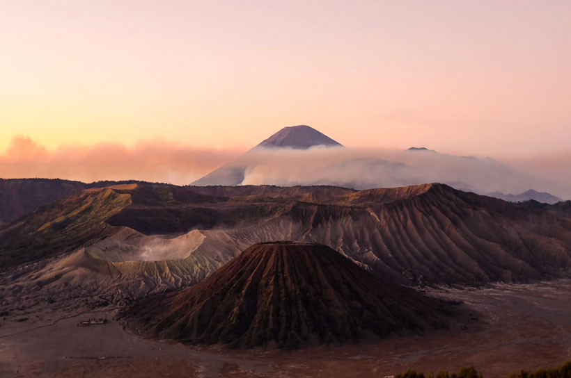 Update: The Proposed Indonesia Kratom Ban