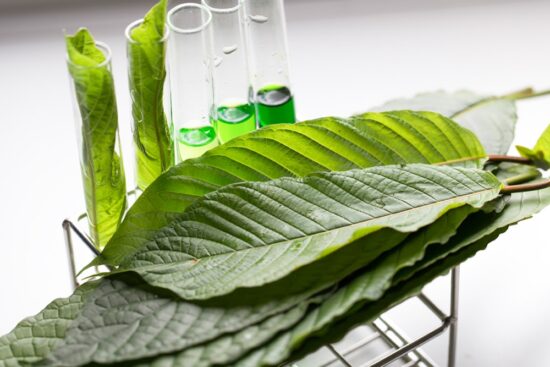 Green Borneo Kratom