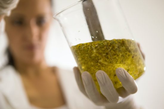 5 Best Kratom Extract Tips for Beginners