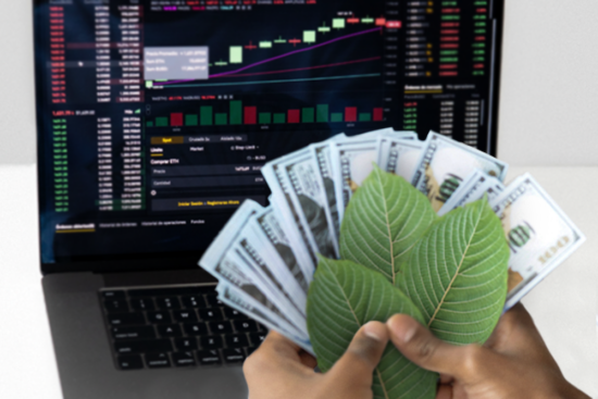 Kratom Stocks: Can You Invest in Kratom?