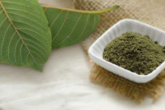 A bowl of mitragyna hirsuta powder beside some mitragyna hirsuta leaves.