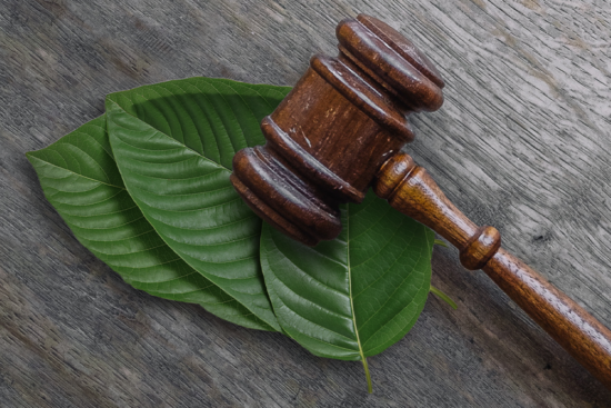 Is Kratom Legal in Florida
