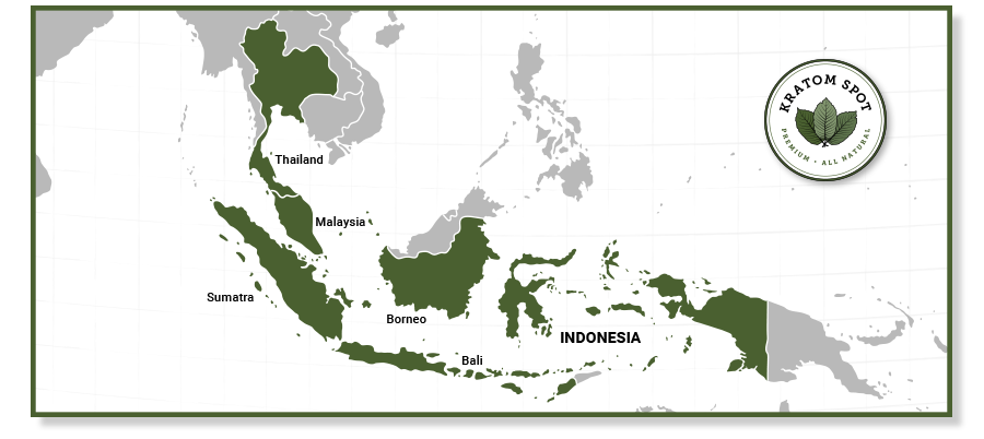 A map of Southeast Asia with Thailand, Malaysia, and Indonesia highlighted