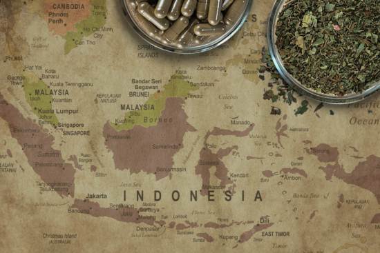 A map of Southeast Asia with a bowl of kratom