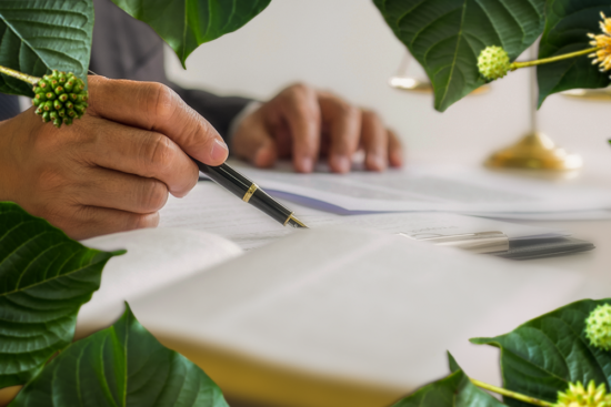 Kratom Legality Update